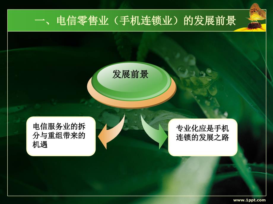 电信零售业(手机连锁业)的成功之道_第3页