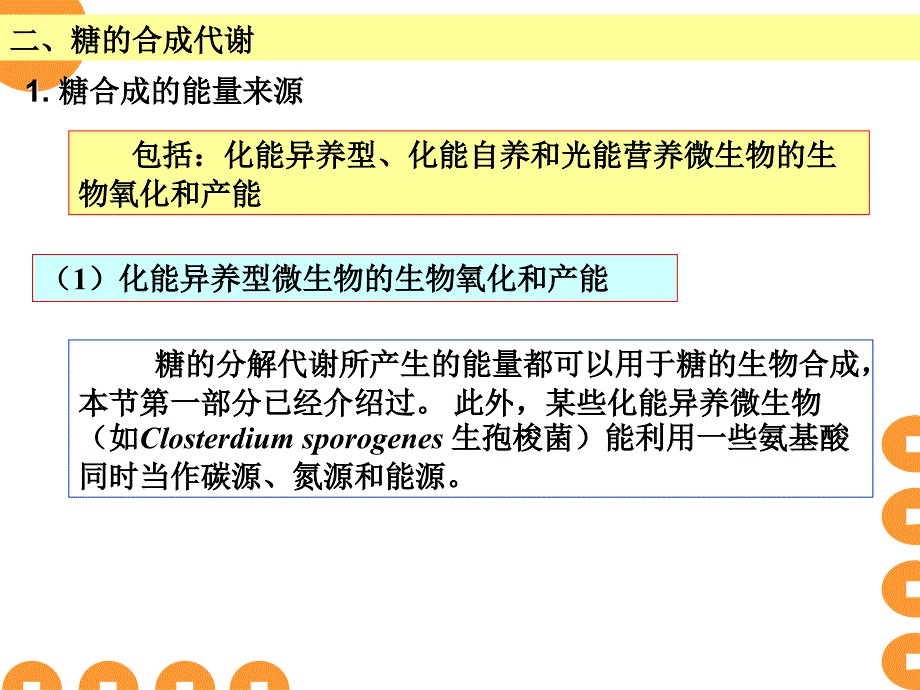 《糖的合成代谢》PPT课件_第2页