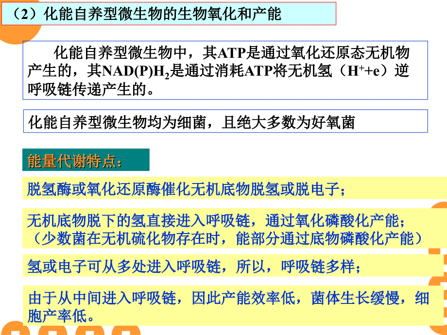 《糖的合成代谢》PPT课件_第4页