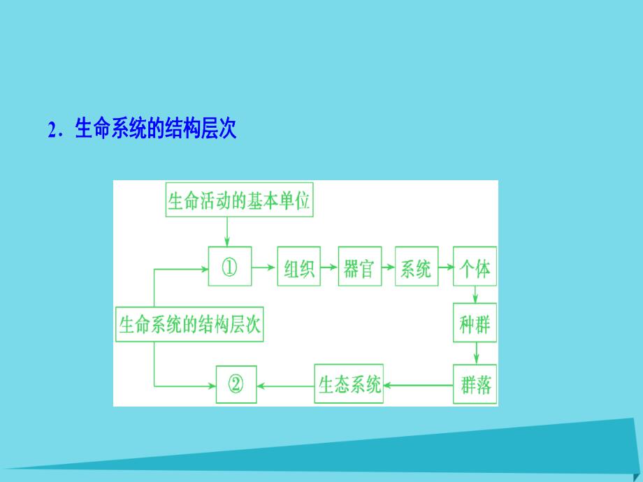 高考生物 第一单元 细胞及其分子组成 第一讲 走近细胞 新人教版_第3页