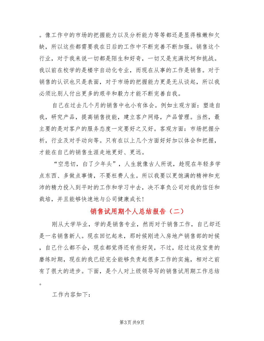 销售试用期个人总结报告(4篇)_第3页