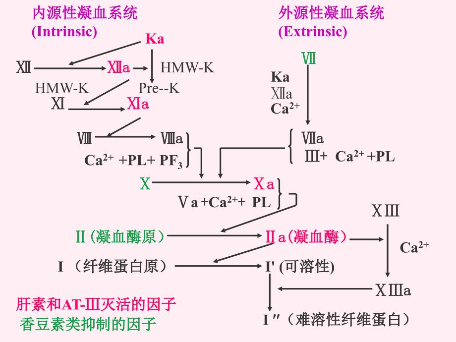 作用于血液及造血系统的药物文档资料_第3页