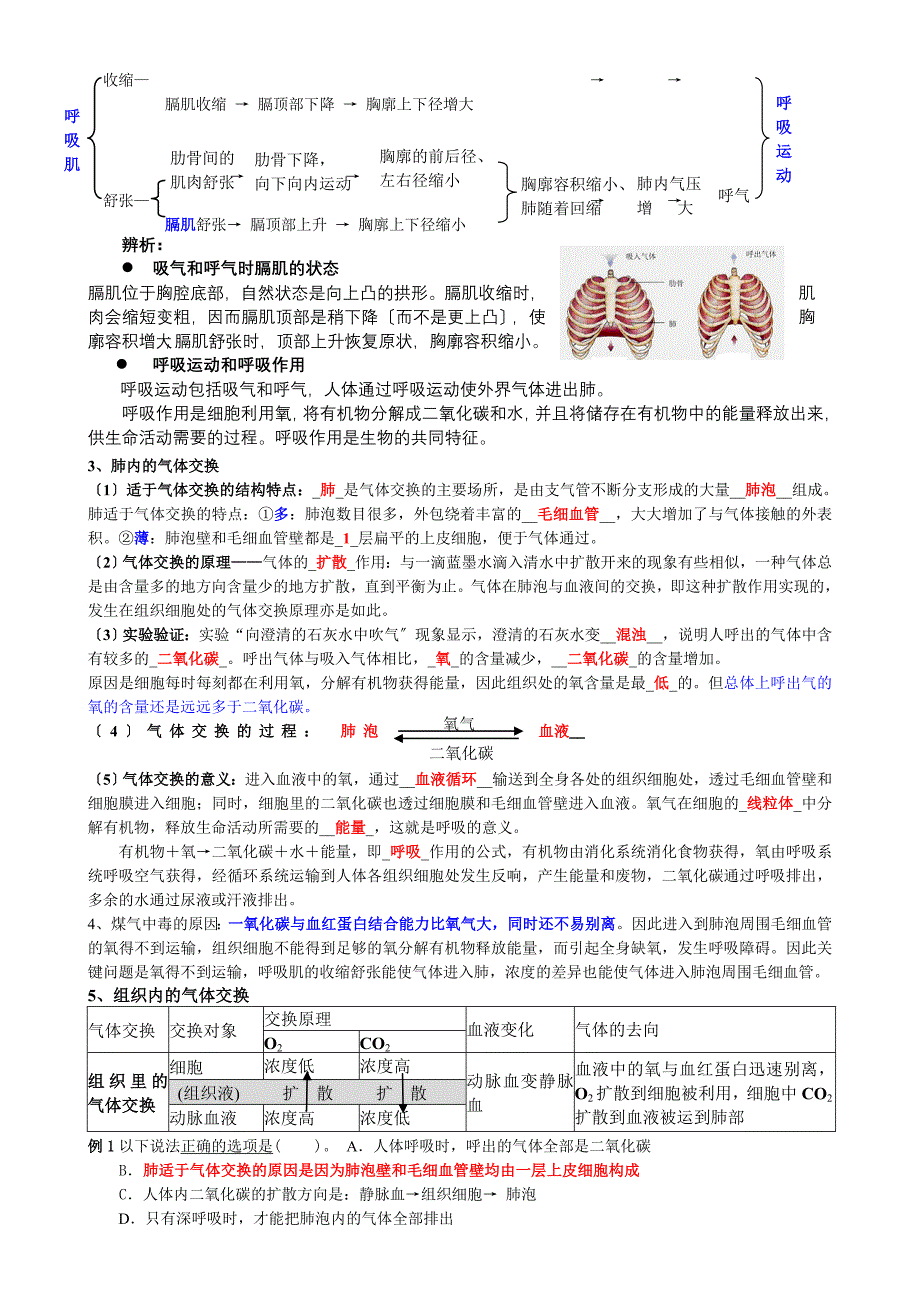 4月初中生物会考总复习知识点(共四册)1_第5页