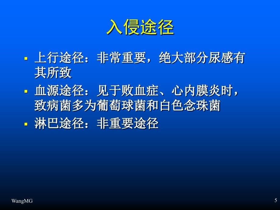 尿路感染-PPT文档资料课件_第5页