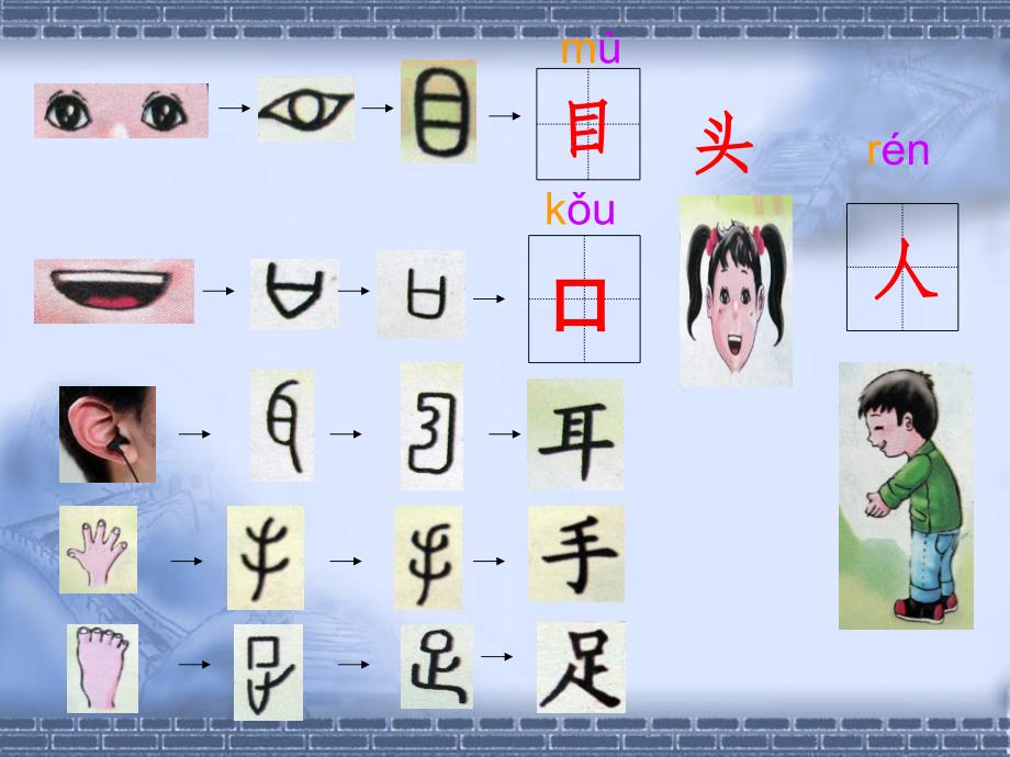 1观察人体识汉字_第2页