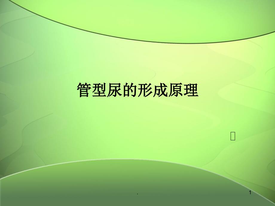 管型尿的形成原理1_第1页