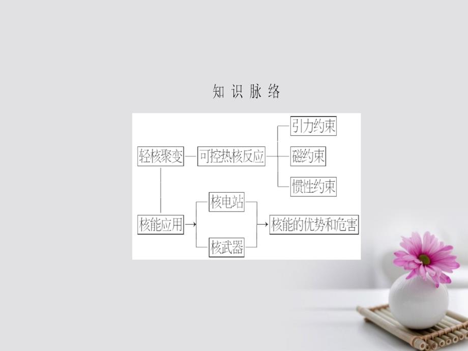 高中物理第4章核能第3节核聚变第4节核能的利用与环境保护课件鲁科版选修名师制作优质学案_第3页