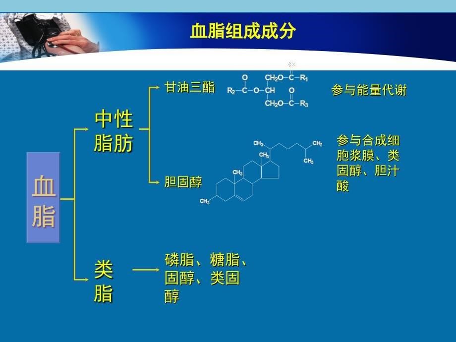 脂异常的危害及治疗课件_第5页