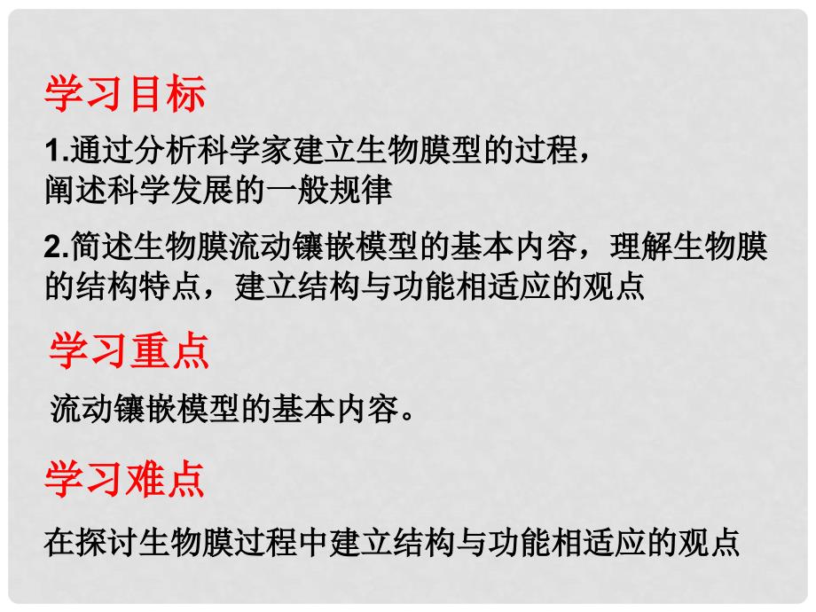 广东省东莞市大朗中学高中生物 4.2 生物膜的流动镶嵌模型课件 新人教版必修1_第3页