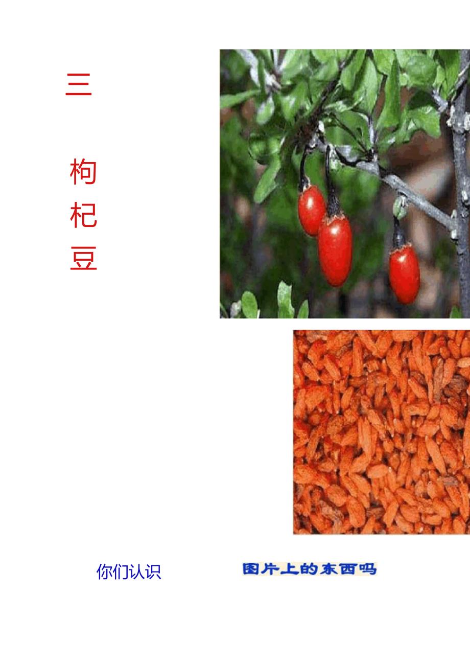 《三颗枸杞豆》课件1._第1页