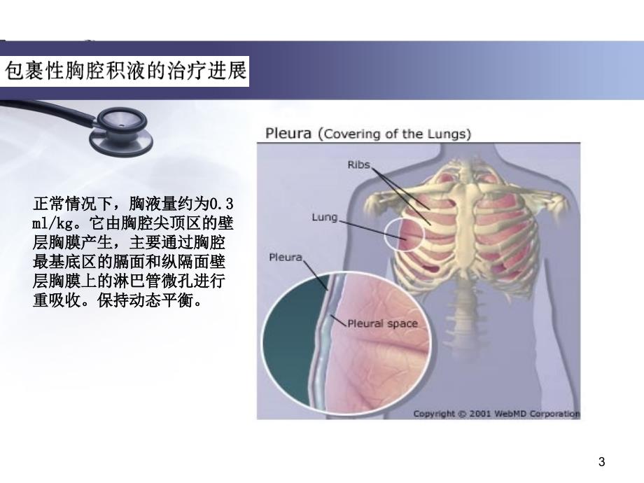 包裹性胸腔积液的治疗进展PPT课件_第3页