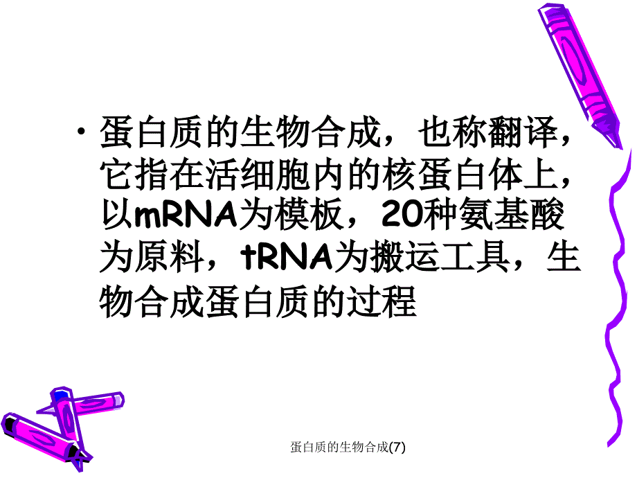 蛋白质的生物合成(7)课件_第2页