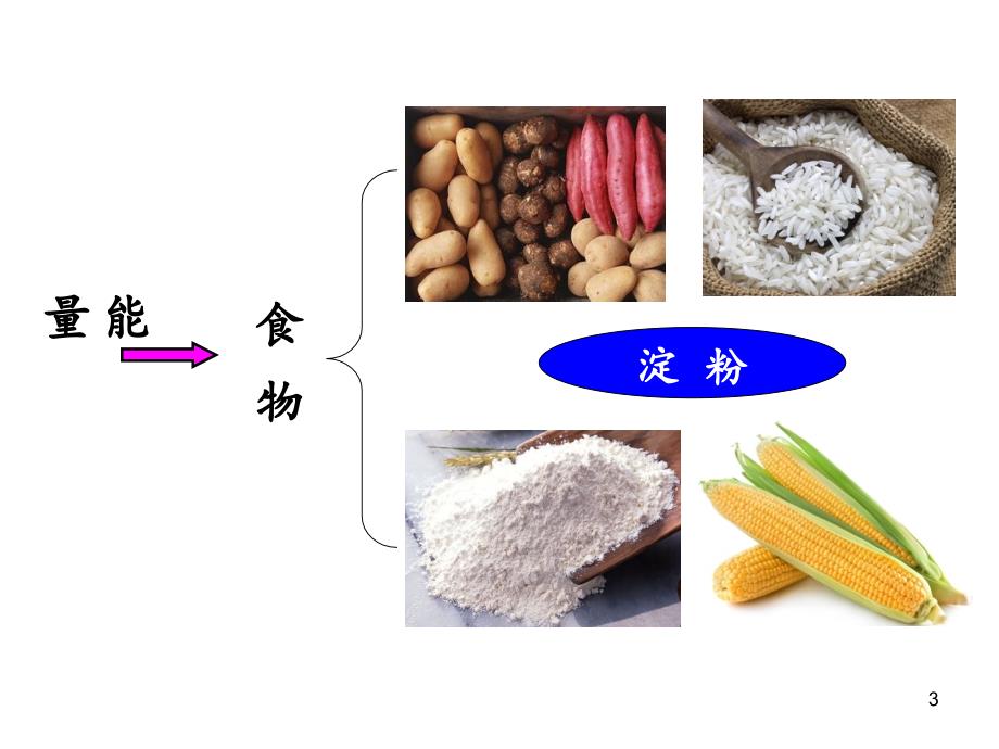 生活能量化学与健康文档资料_第3页