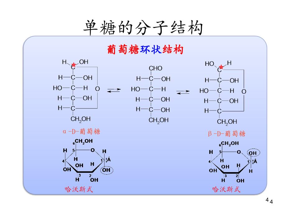 生活能量化学与健康文档资料_第4页