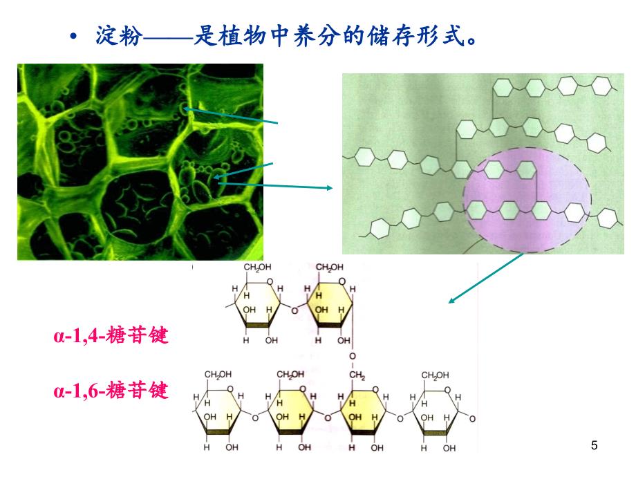 生活能量化学与健康文档资料_第5页