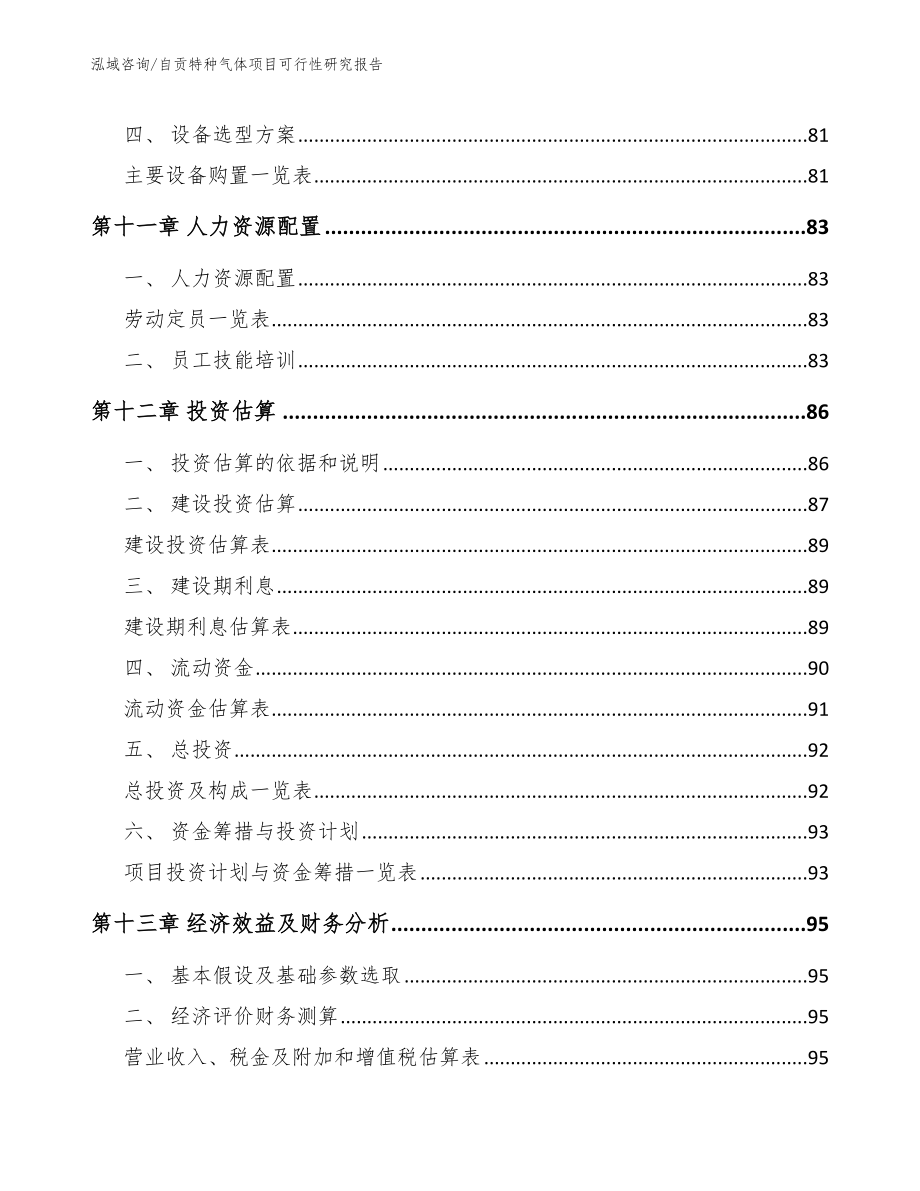 自贡特种气体项目可行性研究报告（范文参考）_第5页