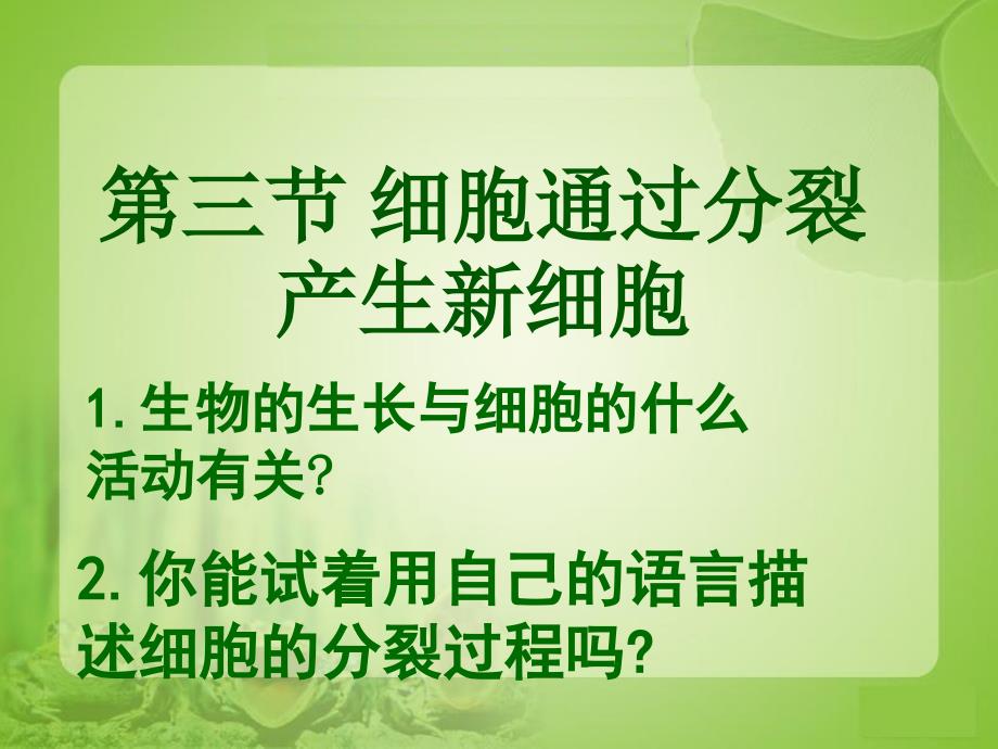 细胞通过分裂产生新细胞2_第1页