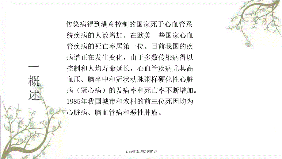 心血管系统疾病优秀_第3页