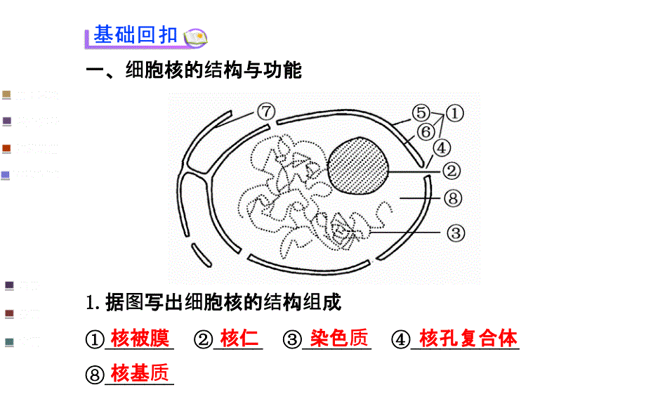 浙江专用金榜生物教师用书配套课件必修1第二章第五节课件_第3页