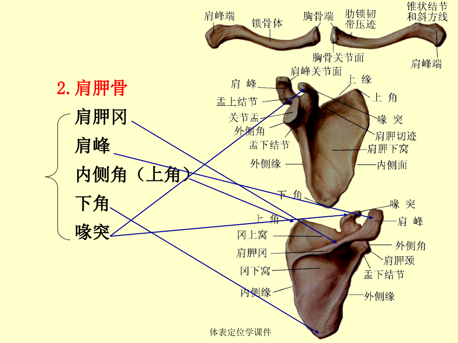 体表定位学课件_第3页