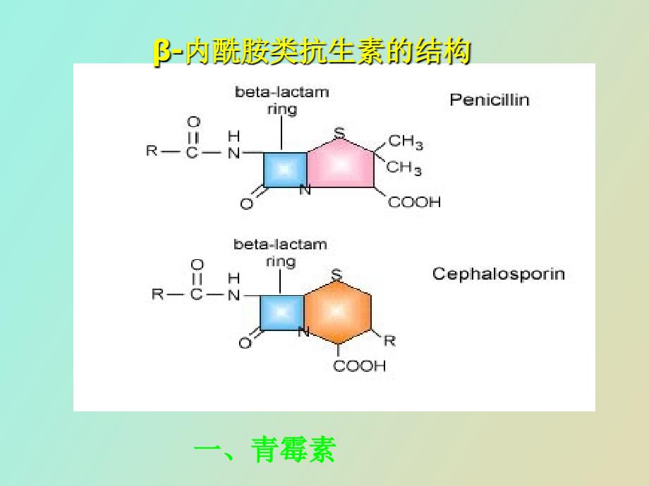 青霉素及头孢_第2页