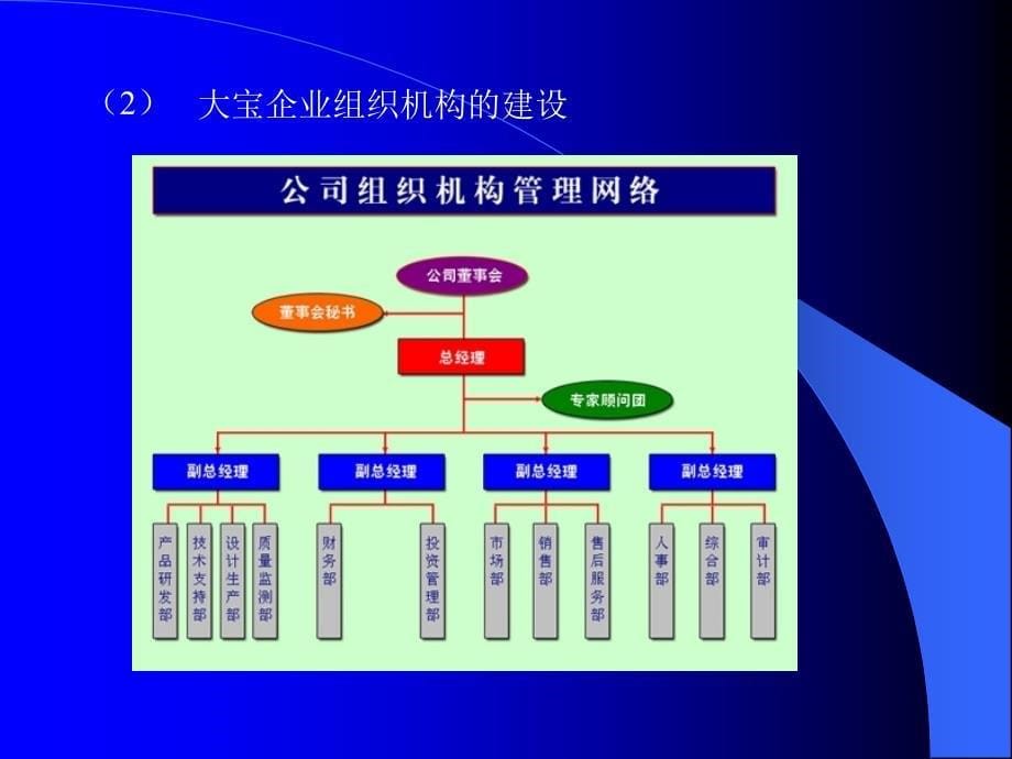 大宝BI设计课件_第5页