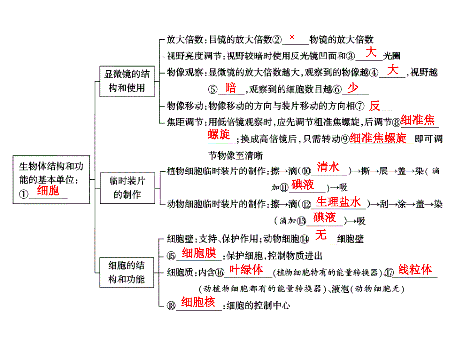 中考生物学专题知识整合&amp;amp#183;专题一生物体的结构层次_第2页