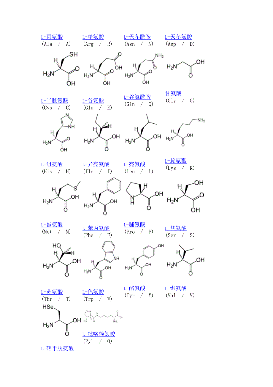 标准蛋白氨基酸列表_第2页