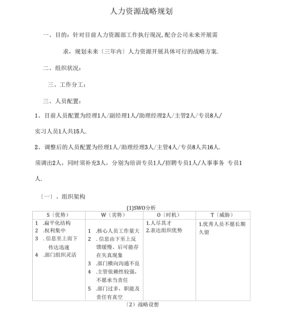 公司人力资源战略规划_第1页