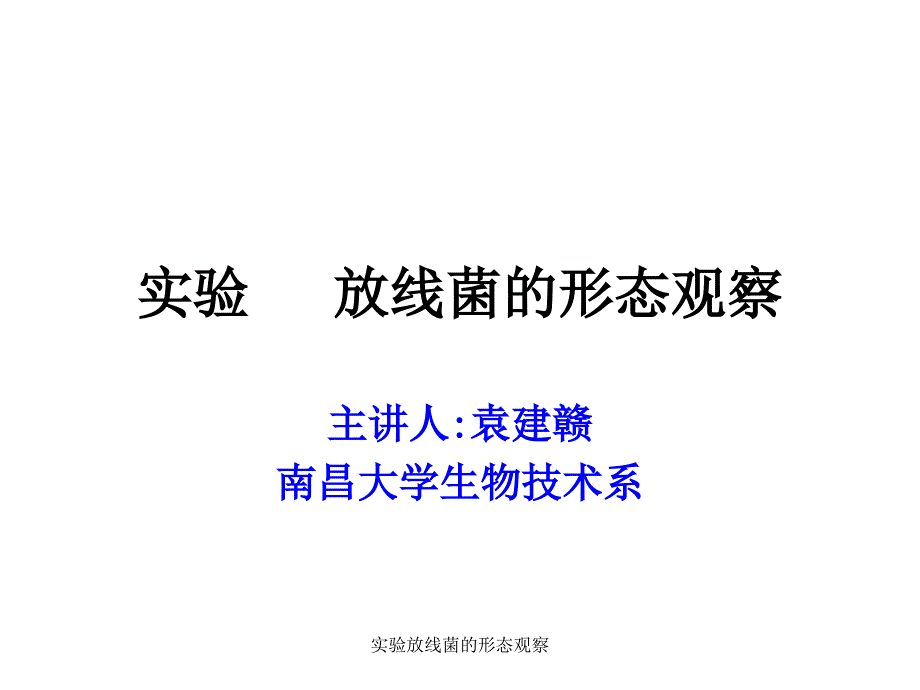 实验放线菌的形态观察课件_第1页