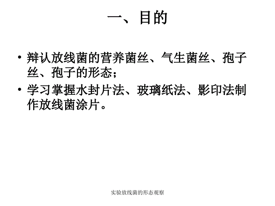 实验放线菌的形态观察课件_第2页