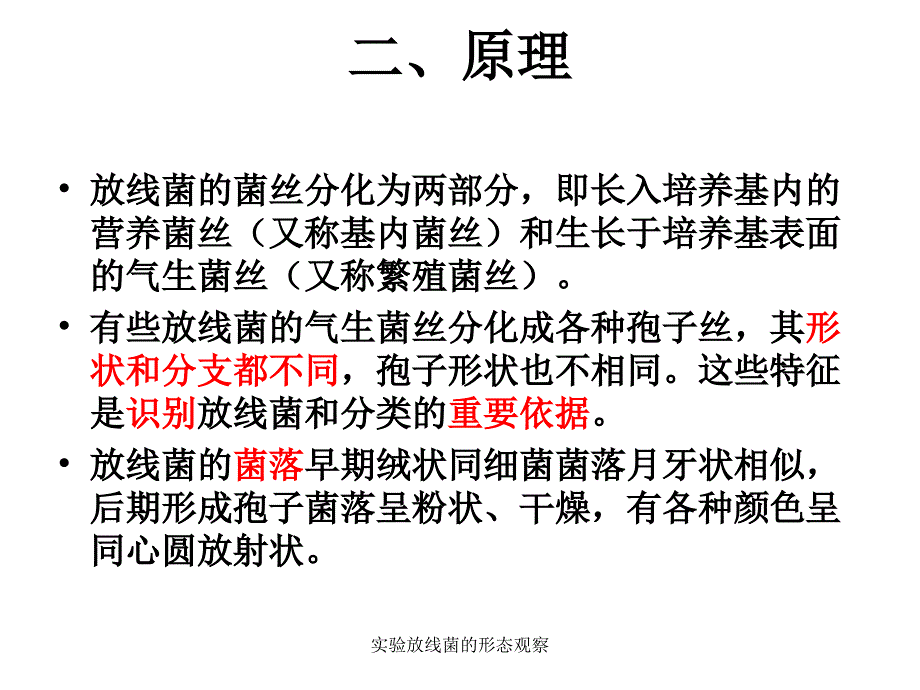 实验放线菌的形态观察课件_第3页