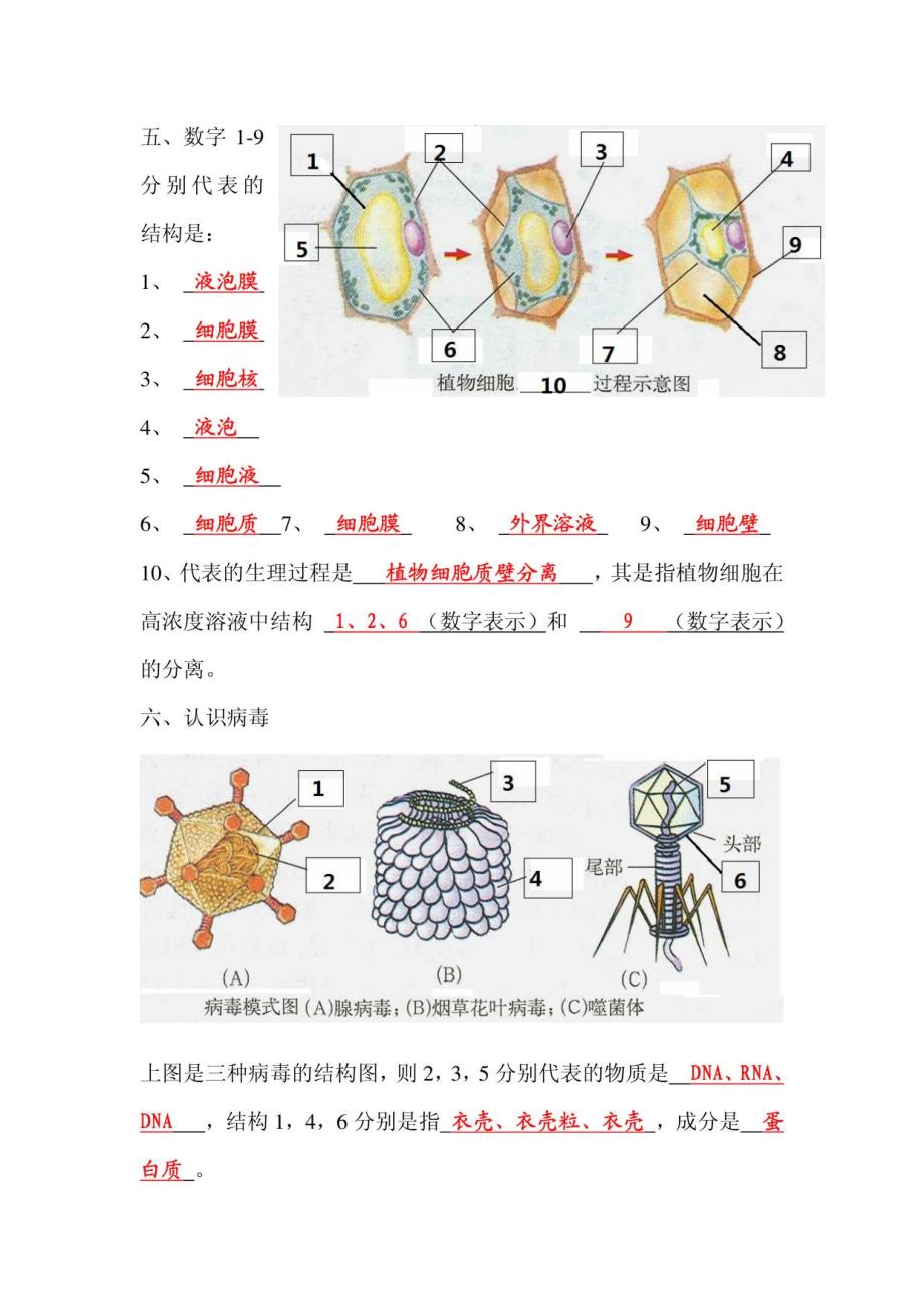 高二生物识图答案_第3页