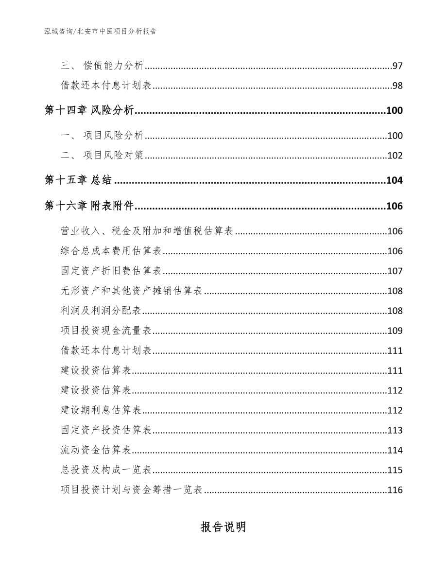 北安市中医项目分析报告（参考范文）_第5页