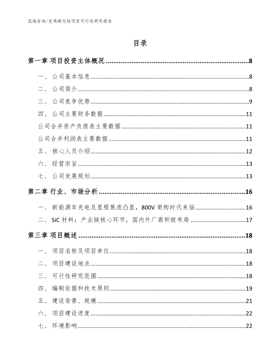 宝鸡碳化硅项目可行性研究报告_模板范文_第1页