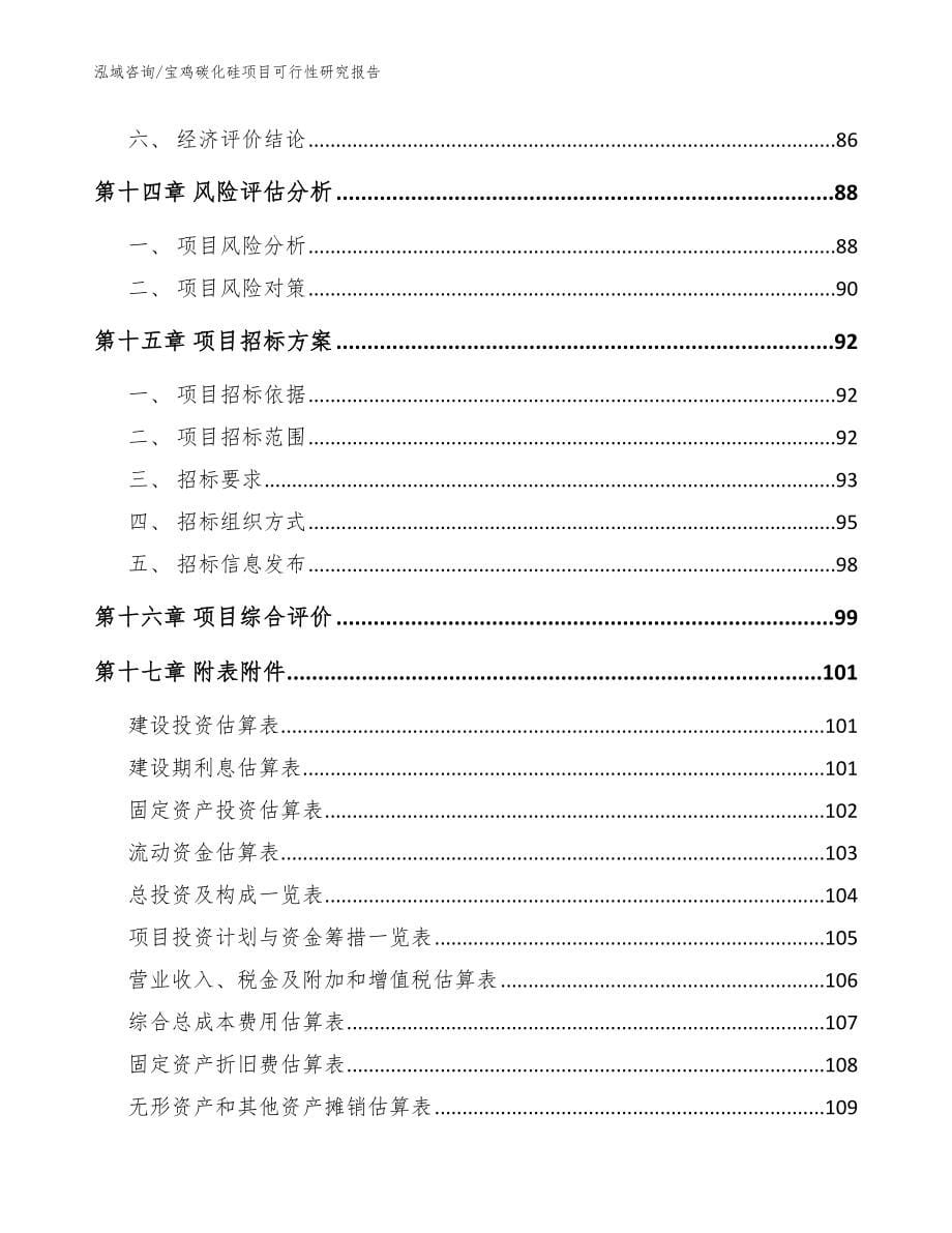 宝鸡碳化硅项目可行性研究报告_模板范文_第5页