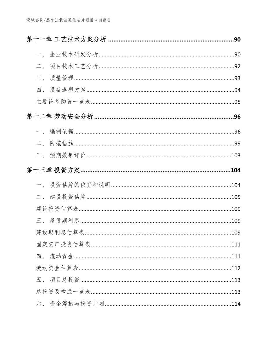 黑龙江载波通信芯片项目申请报告（范文）_第4页