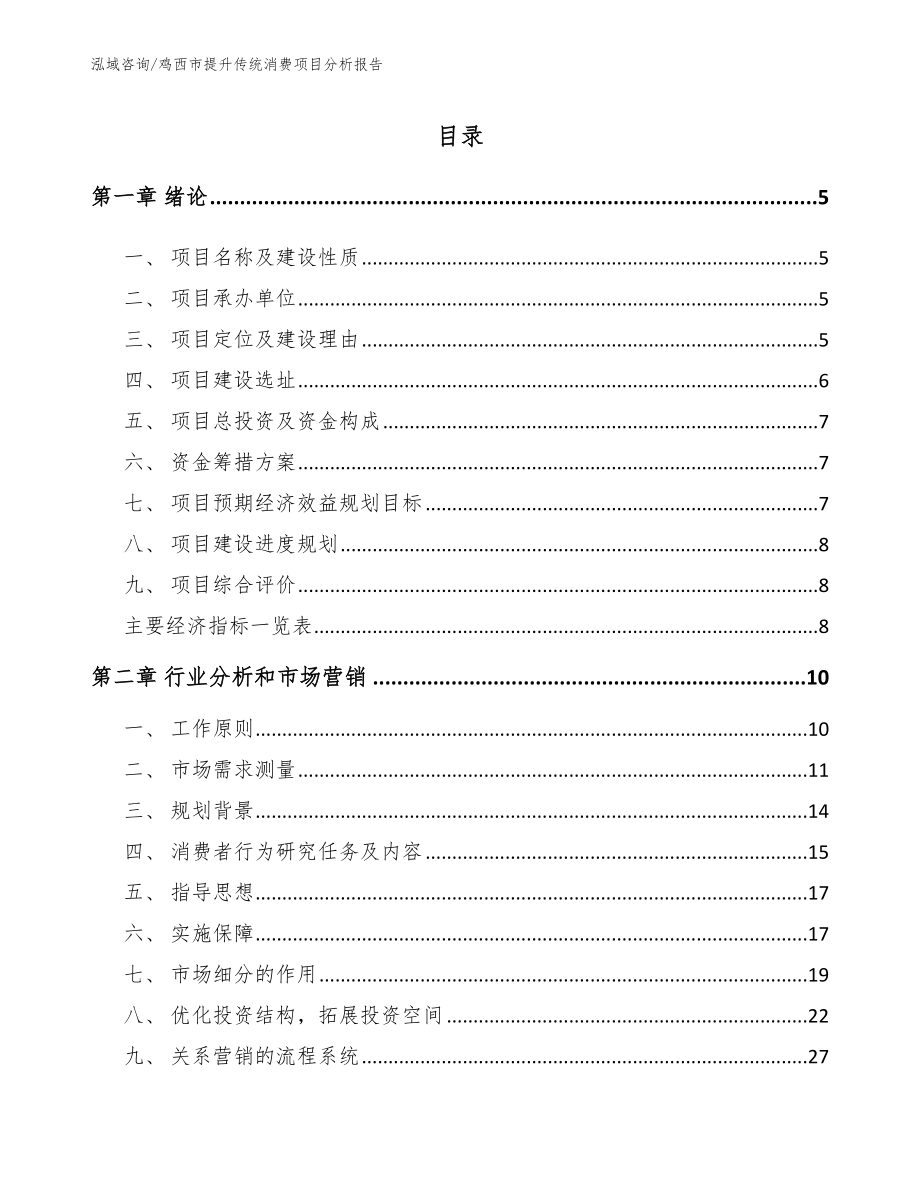 鸡西市提升传统消费项目分析报告_范文_第1页