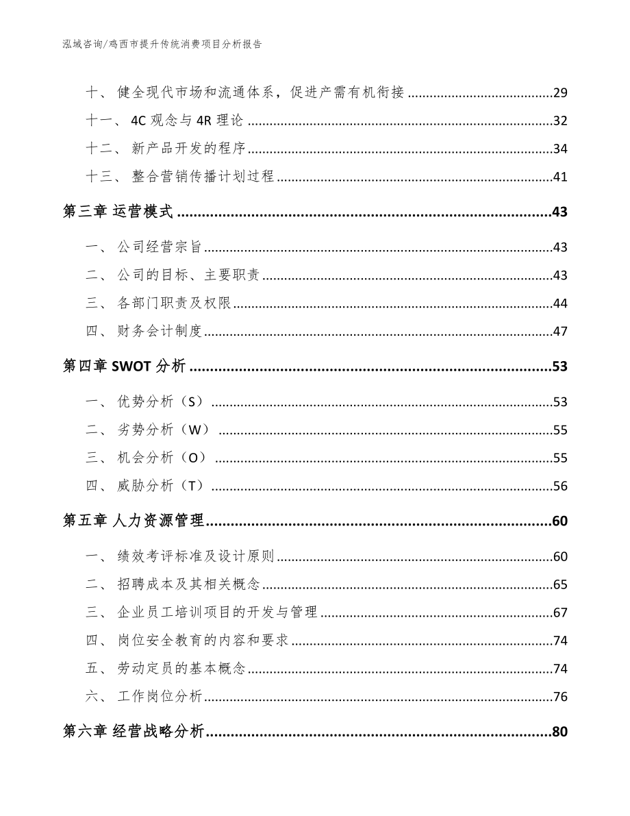 鸡西市提升传统消费项目分析报告_范文_第2页