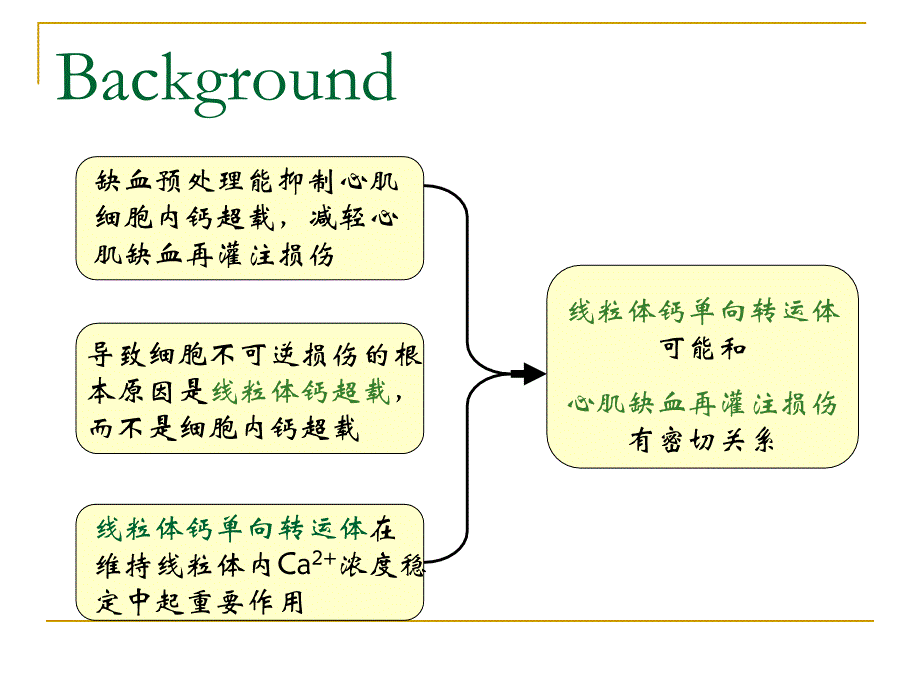 线粒体钙单向转运体在心肌缺血再灌注损伤中作用_第4页