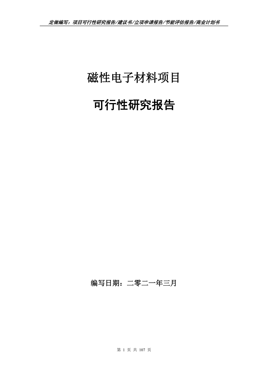 磁性电子材料项目可行性研究报告立项申请_第1页