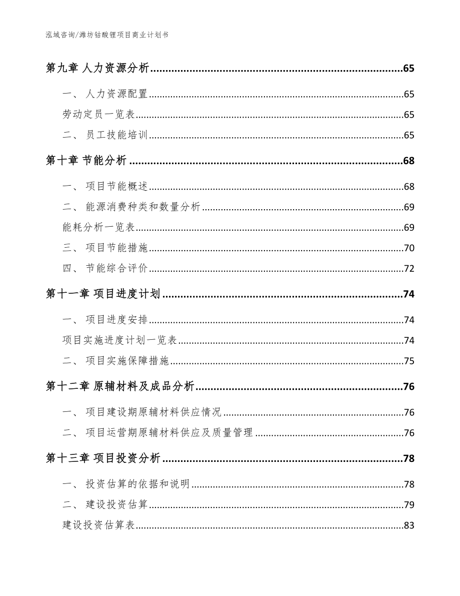 潍坊钴酸锂项目商业计划书模板_第3页