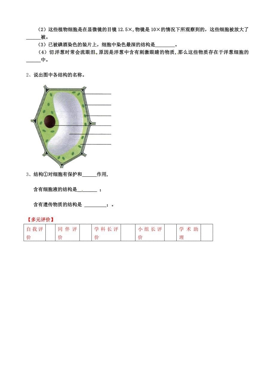 精选类内蒙古通辽市科左中旗宝龙山中学七年级生物上册2.1.2植物细胞学案无答案新版新人教版_第5页