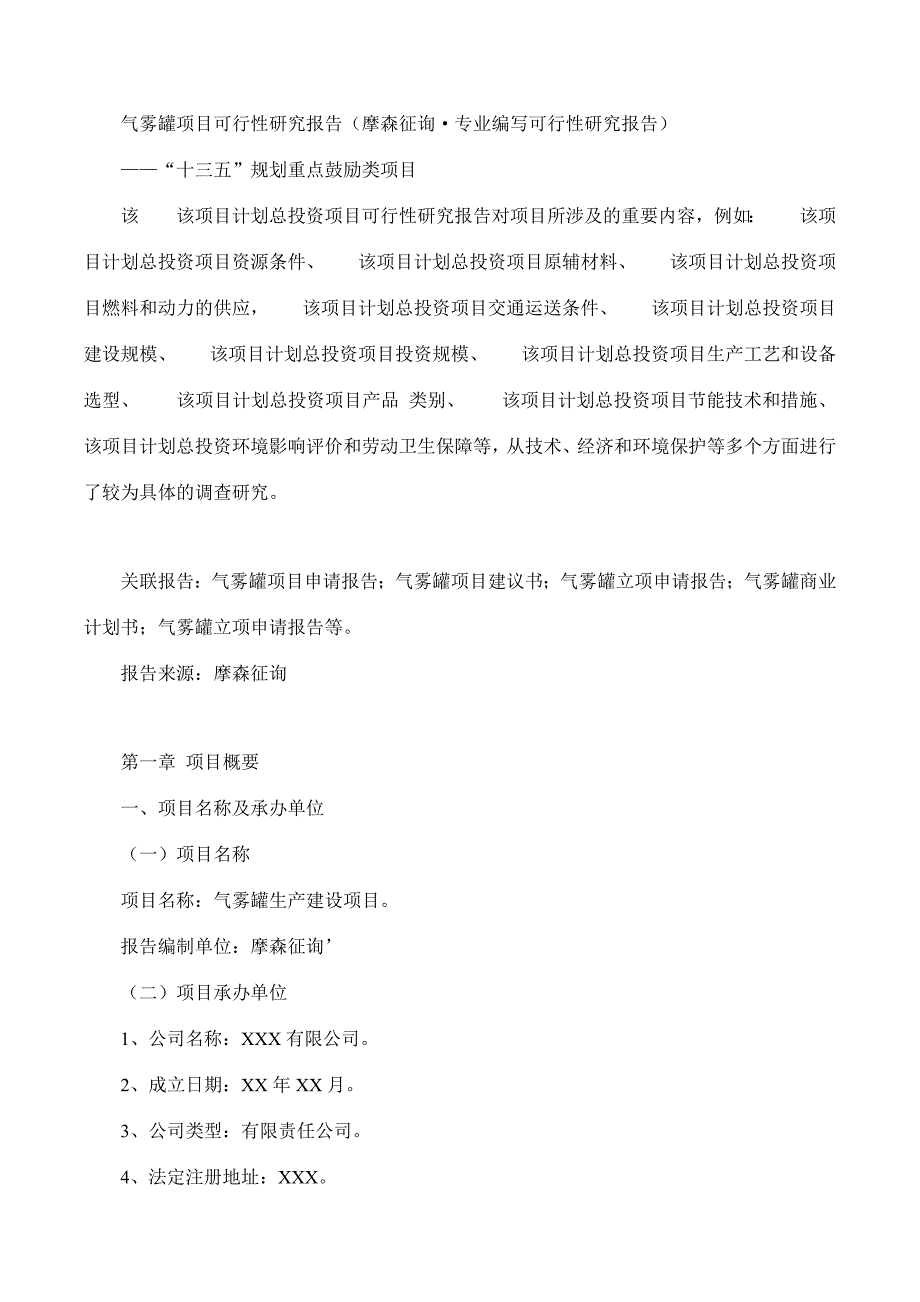 气雾罐项目可行性研究报告摩森咨询&#183;专业编写可行性研.doc_第1页