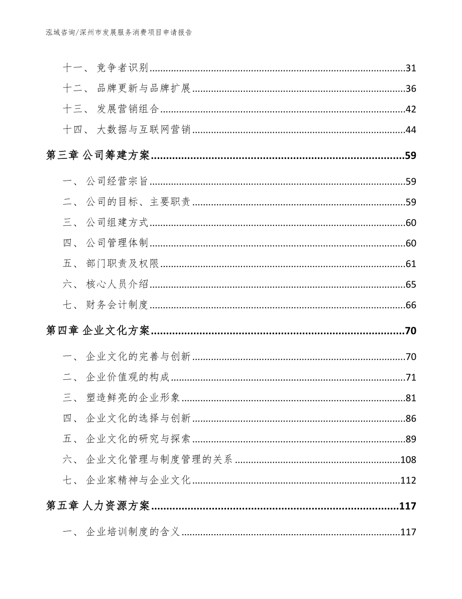 深州市发展服务消费项目申请报告模板范本_第2页