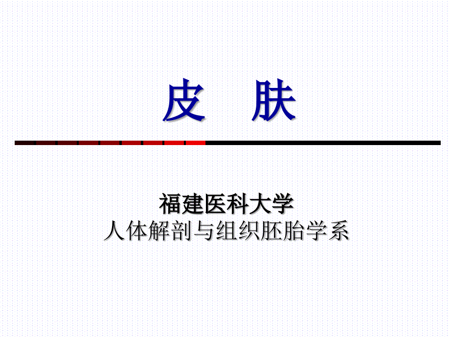 组织学与胚胎学第11章皮肤上_第1页