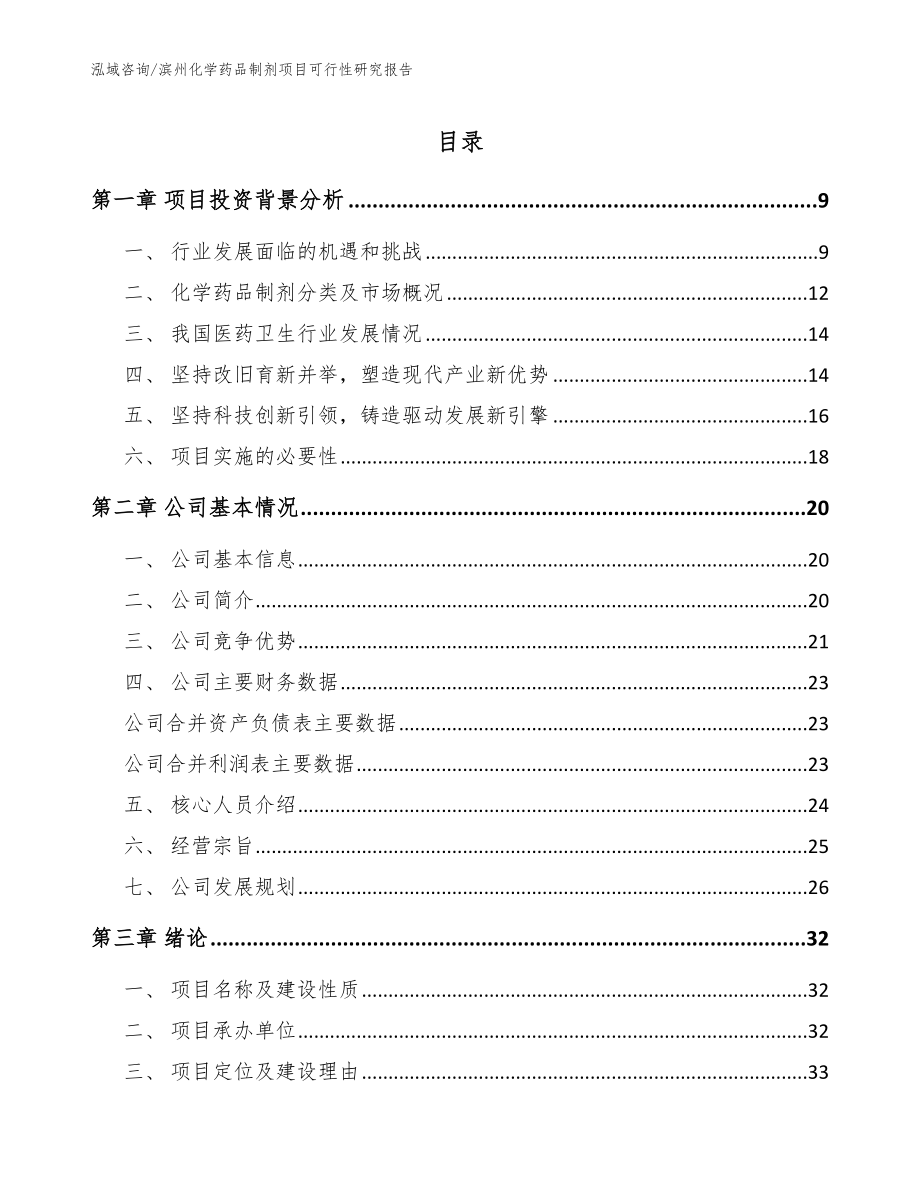 滨州化学药品制剂项目可行性研究报告_参考模板_第1页