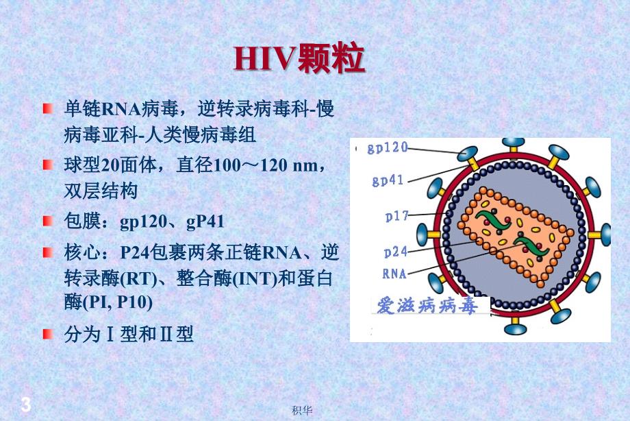 [临床传染病治疗]艾滋病_第3页