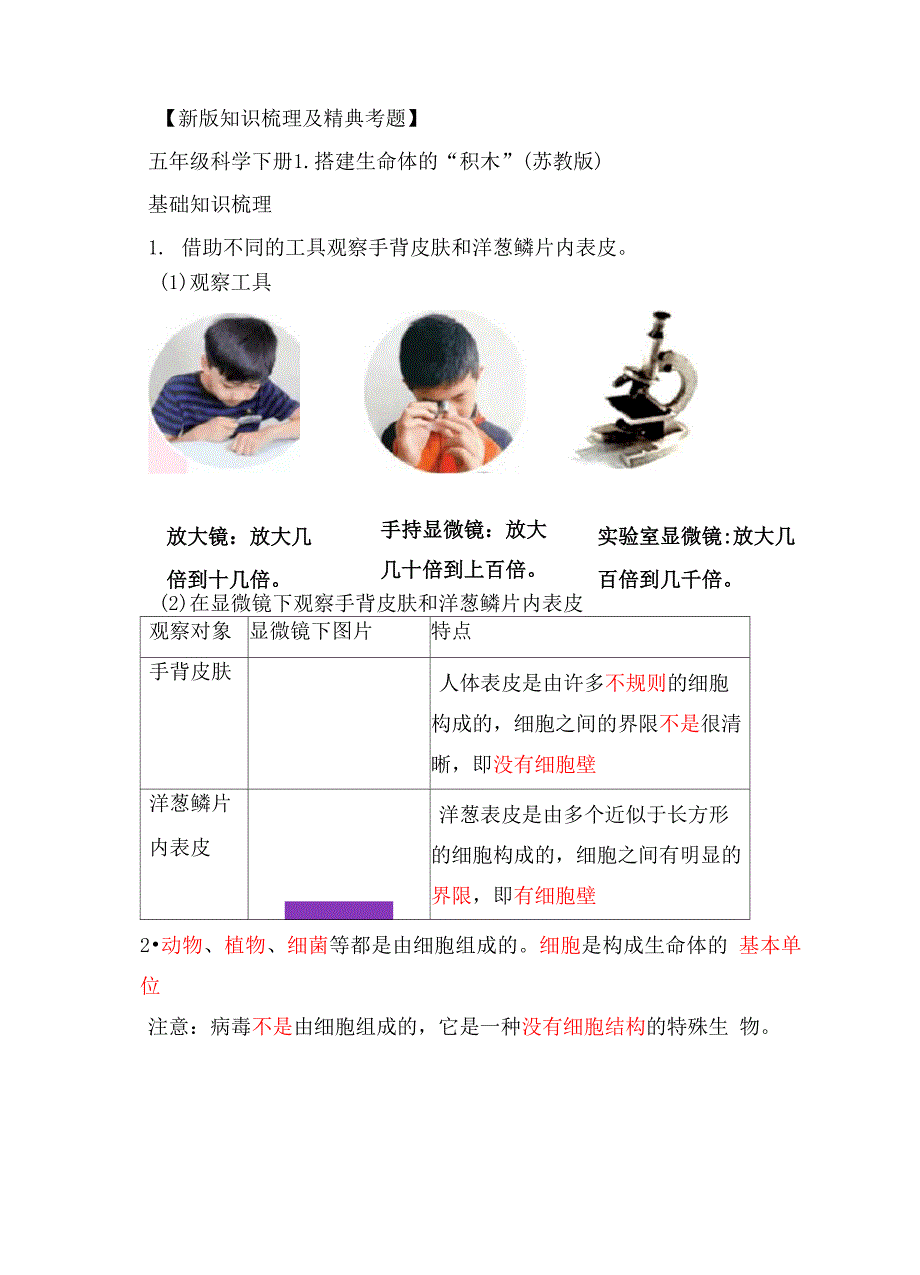《精典考题：搭建生命体的“积木”》知识点_第1页