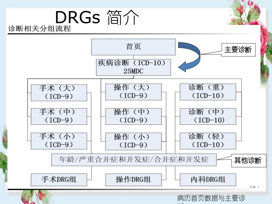 病历首页数据与主要诊断_第4页